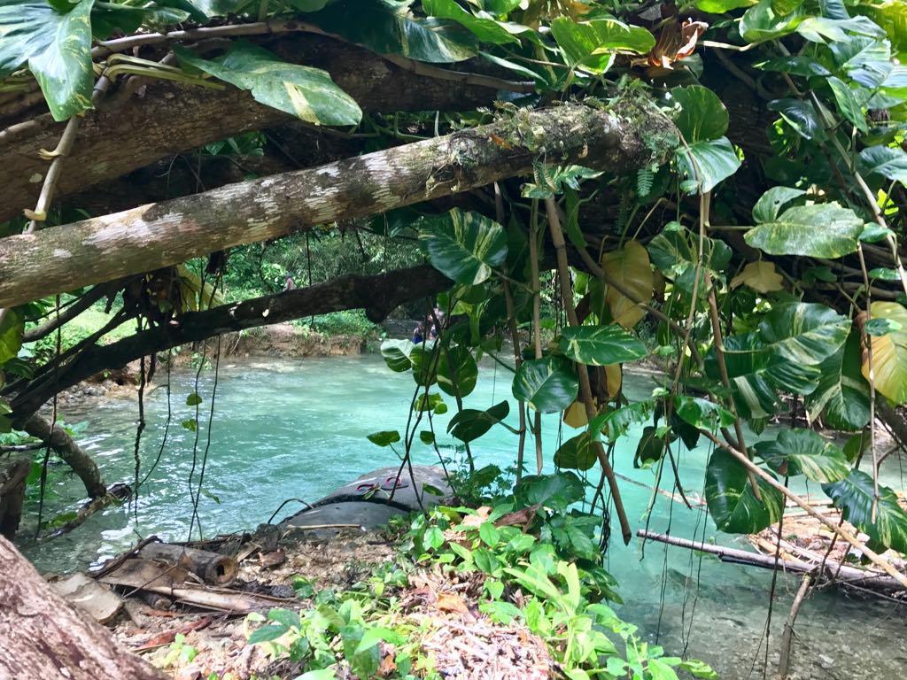 Nature In Portland Port Antonio Bagian luar foto