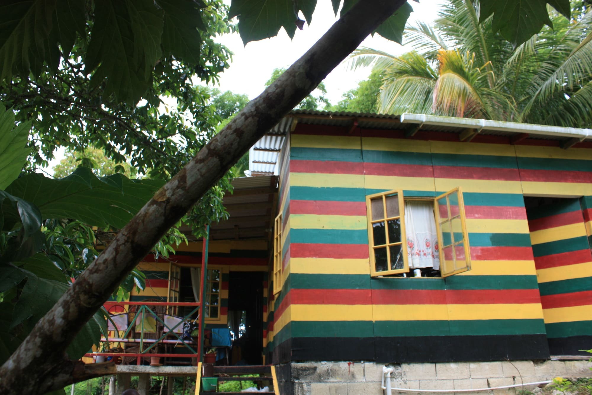 Nature In Portland Port Antonio Bagian luar foto